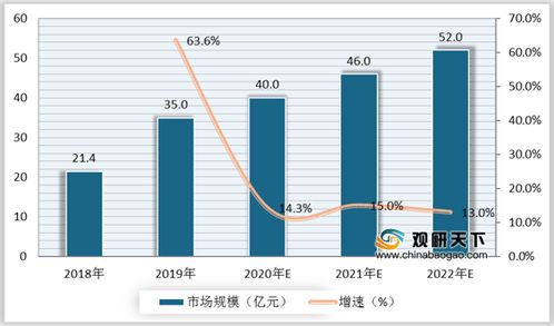 2020年中国智慧消防市场分析报告 深度调研与投资商机研究